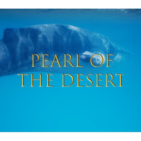 Pearl of the Desert PC Steam CD Key