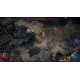 Path of Exile 2 - Early Access Supporter Pack RoW PC Steam Altergift