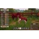 The Ranch of Rivershine PC Steam CD Key