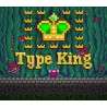 Type King PC Steam CD Key