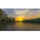 Real VR Fishing - US EAST COAST DLC PC Steam CD Key