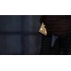 K-POP STAR PC Steam CD Key