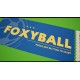 Foxyball PC Steam CD Key