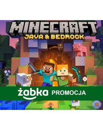 Żabka Promo - Minecraft: Java & Bedrock Edition for PC Windows 10 CD Key