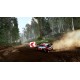 WRC 10 FIA World Rally Championship Deluxe Edition PS4 Account
