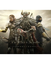 The Elder Scrolls Online - Morthal Jarl Finery Costume DLC PC Digital Download CD Key