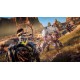 Horizon Zero Dawn PS4 Account