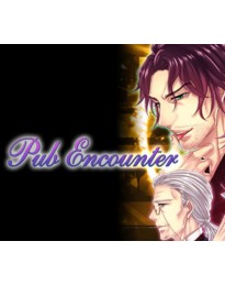 Pub Encounter PC Steam CD Key