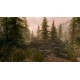 The Elder Scrolls V: Skyrim Special Edition PC Windows 10 Account