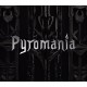 Pyromania PC Steam CD Key