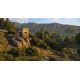 Arma Reforger EU Xbox Series X|S CD Key
