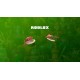 Roblox - Tropical Coconut Pauldrons Skin DLC CD Key