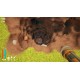 A Game About Digging A Hole PC Steam CD Key