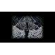KRAMPEN PC Steam Account