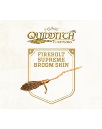 Harry Potter: Quidditch Champions - Pre-order Bonus DLC EU (without DE) PS4 CD Key