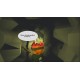 Sanechek: Lost Coins PC Steam CD Key