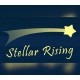 Stellar Rising PC Steam CD Key