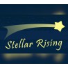 Stellar Rising PC Steam CD Key