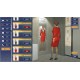 Cabin Crew Life Simulator PC Steam Account