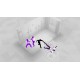 Fights in Tight Spaces Complete Edition (2023) EU/NA PC Steam CD Key