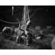 Daemonologie PC Steam CD Key