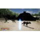 The Well of Essenwood PC Steam CD Key