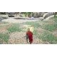 The Well of Essenwood PC Steam CD Key