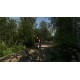 Finnish Cottage Simulator PC Steam Account