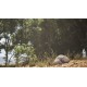 Stone Simulator Just Be a Rock PC Steam CD Key