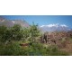 Stone Simulator Just Be a Rock PC Steam CD Key
