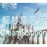 Dream Solutions PC Steam CD Key