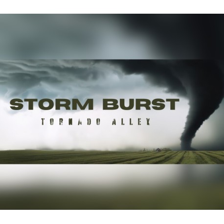 Storm Burst: Tornado Alley PC Steam CD Key