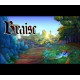 Braise PC Steam CD Key