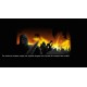 Braise PC Steam CD Key