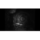 REC Desolation PC Steam CD Key