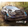 WRC 9 FIA World Rally Championship ASIA PC Steam CD Key