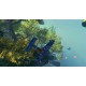 Exosky PC Steam CD Key