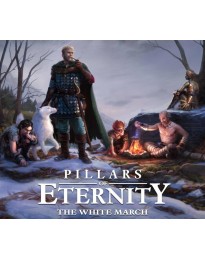 Pillars of Eternity: Hero Edition + The White March (Part 1) Steam CD Key