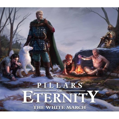 Pillars of Eternity: Hero Edition + The White March (Part 1) Steam CD Key