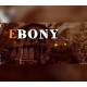 EBONY Steam CD Key