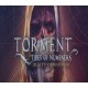 Torment: Tides of Numenera - Legacy Edition Upgrade DLC Steam CD Key