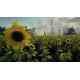 Death From Above PC Steam CD Key