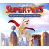 DC League of Super-Pets: The Adventures of Krypto and Ace Steam CD Key