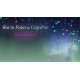 But to Paint a Universe - Soundtrack DLC Steam CD Key