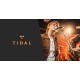 Tidal - 12 Months Hi-Fi Plus Subscription ACCOUNT