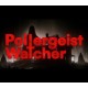 Poltergeist Watcher PC Steam CD Key
