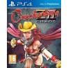 Onechanbara Z2: Chaos Steam CD Key