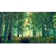 Firewatch XBOX One / Xbox Series X|S / PC Account