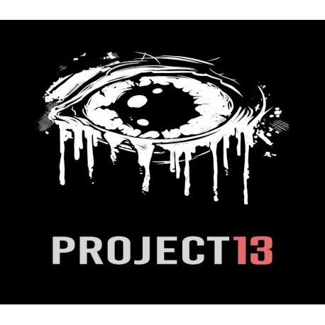 Project 13 EU PS5 CD Key