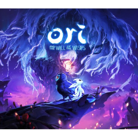 Ori and the Will of the Wisps Nintendo Switch Access
